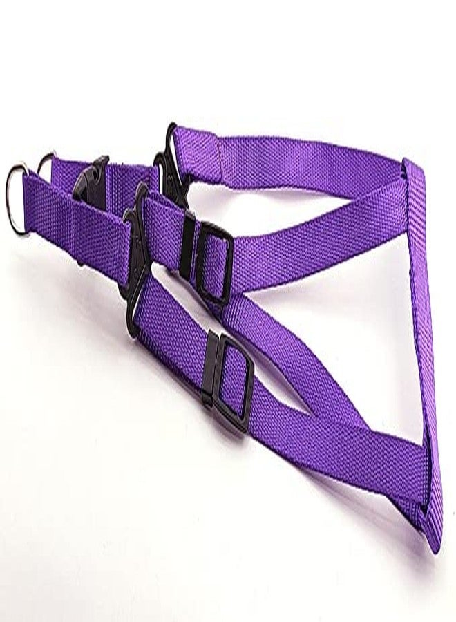 Pups&Pets Puppy 15 MM Nylon Adjustable Leash with 0.5 Inch Harness Set for Small & Medium Dogs - Purple - Image 3